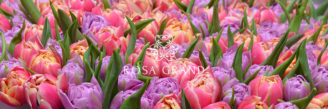 Цветы в шляпных коробках - Rosa Grand СПб