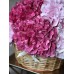 Розовые и малиновые гортензии в корзине (30 см)
