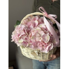 Розовые гортензии в корзине (5 шт)