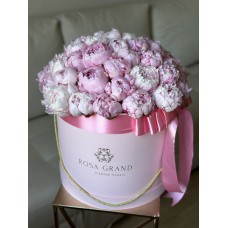 Розовые пионы в коробке L (49 шт)