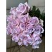 Букет роз Наутика (23 розы) 70 см 