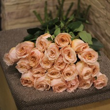 Розы Shimmer (Шиммер)