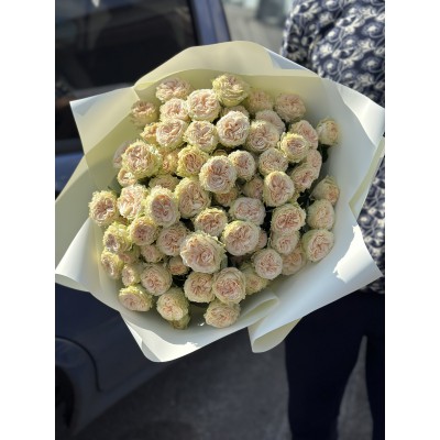 Крупные пионоводные розы кремового цвета
