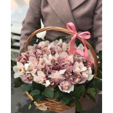 Белые и розовые орхидеи в корзине 40 см