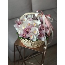 Белая и розовая орхидея в корзине 30 см