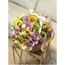 Орхидея в корзине 30 см