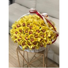 Желтые орхидеи в корзине 40 см