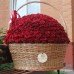 Корзина с красными розами размера XXL (до 351 розы)