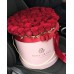 Красные розы в коробке (L) 69-75 роз