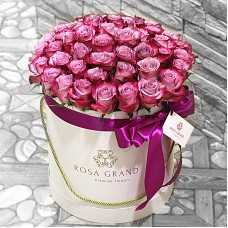 Розы Deep Purple в цилиндре (M) 43-47 роз