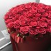 Красные розы в коробке (XL) 101 роза