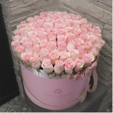 Розовые розы в коробке (XL) от 101 розы