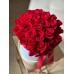 Красные розы в коробке XS (25 роз)