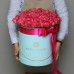 Тюльпаны голландские в шляпной коробке (M) до 99 шт.