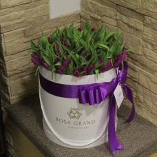 Фиолетовый тюльпаны в шляпной коробке (M) до 99 шт.