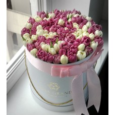 Пионовидные белые и розовые тюльпаны в коробке (M) до 99 тюльпанов