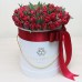 Тюльпаны Ред Принцесс в коробке (S) до 69 тюльпанов