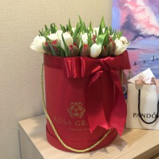Белые и  красные тюльпаны в цилиндре (S) до 69 тюльпанов