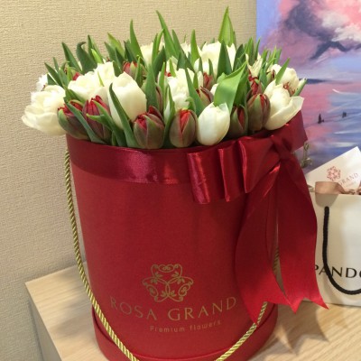 Белые и красные тюльпаны в цилиндре (XS) до 49 шт.