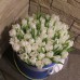 Белые тюльпаны в коробке (S) до 69 тюльпанов
