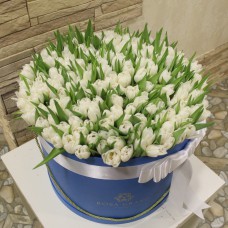 Белые тюльпаны в цилиндре (XXL) от 299 тюльпанов