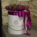 Фиолетовые тюльпаны в шляпной коробке (XS) до 49 шт.