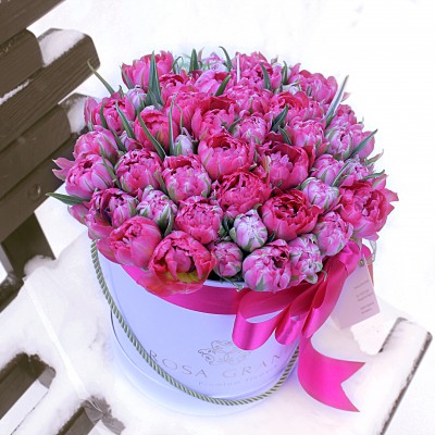Тюльпаны Флеш Поинт в шляпной коробке (XS) до 49 шт.