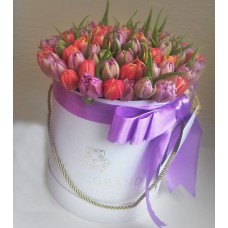 Тюльпаны пионовидные в коробке (XS) до 49 тюльпанов