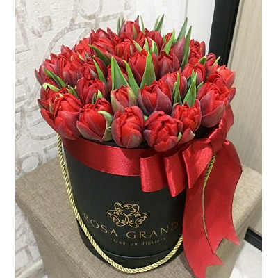 Тюльпаны Ред Принцесс в коробке (XS) до 49 тюльпанов
