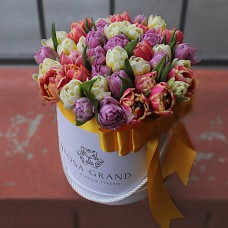 Микс из пионовидных тюльпанов в шляпной коробке (M) до 99 шт.