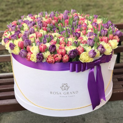 Тюльпаны пионовидные в коробке (XXL) от 319 тюльпанов