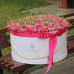 Тюльпаны Флеш Поинт и Ду Дабл Прайс в коробке (XXL) от 319 тюльпанов