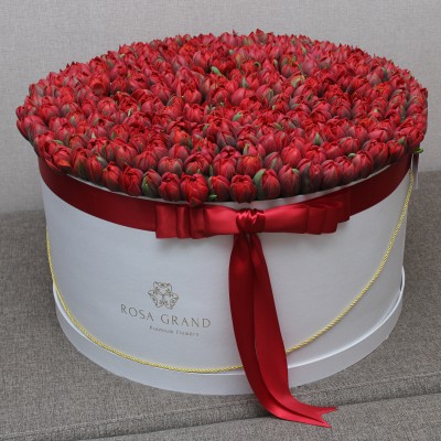 Красные тюльпаны в коробке (XXL) от 319 тюльпанов