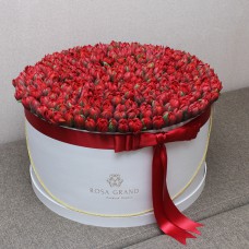Красные тюльпаны Ред принцесс в цилиндре (XL) до 199 тюльпанов